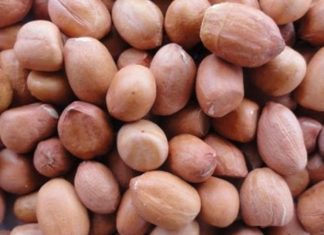 How Many Calories Are in Peanuts? Can Eating Peanuts Make You Fat?