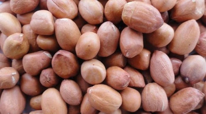 How Many Calories Are in Peanuts? Can Eating Peanuts Make You Fat?