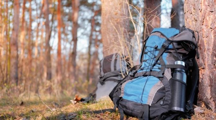 What to Pack for a Safe Forest Adventure?