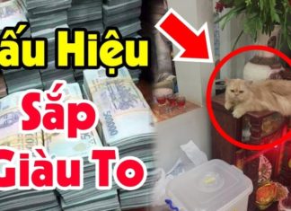 6 Fortuitous Signs of Good Fortune: How Many Have You Experienced?