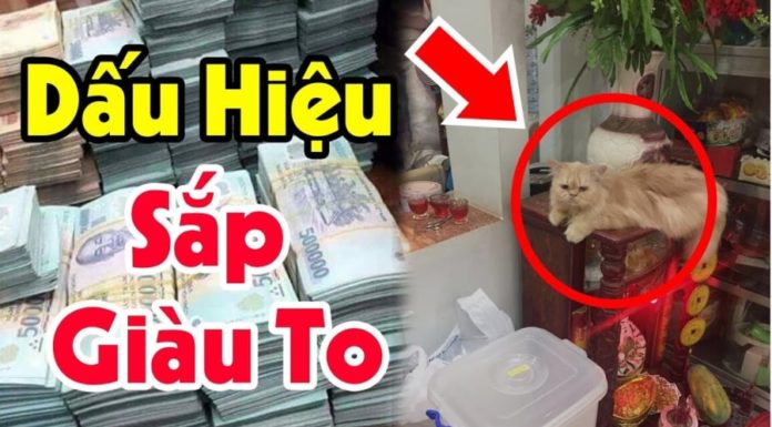 6 Fortuitous Signs of Good Fortune: How Many Have You Experienced?