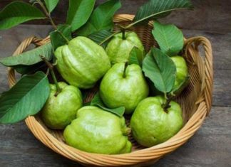 A Tasty Top Ten: Discover Fruits With a Vitamin C Punch