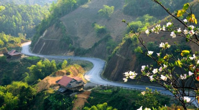 Delicious Delicacies of Dien Bien: 16 Mouth-watering Local Specialties to Try and Buy as Gifts.