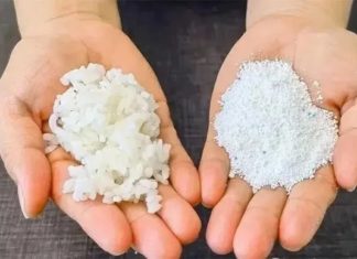 The Ultimate Guide to Getting Rid of Roaches: Using Leftover Rice and Detergent