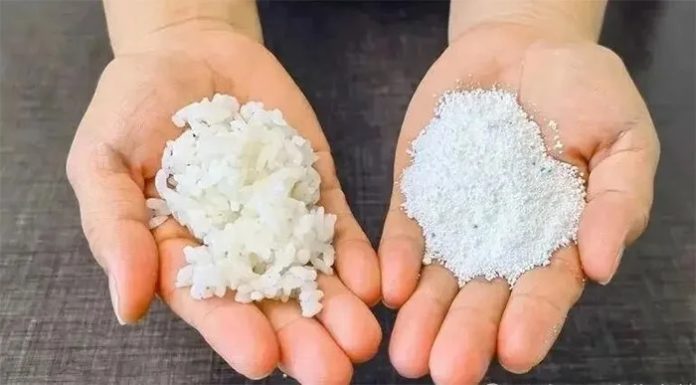 The Ultimate Guide to Getting Rid of Roaches: Using Leftover Rice and Detergent