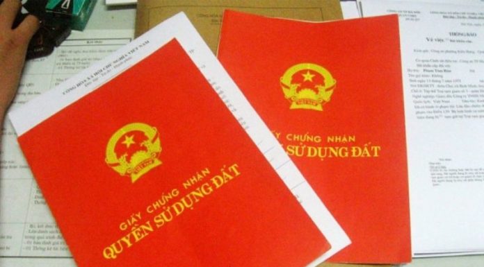 The Art of Land Transfer: Navigating the Process with Ease