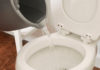 Is Pouring Soap Down the Toilet Harmful?
