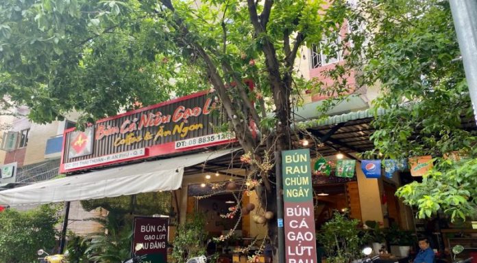The Ultimate Comfort Food: Black Rice Fish Noodle Soup – A Beloved Dish in Thao Dien, District 2.