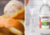 The Magic of Citrus: Transform Your Home with Orange Peels and Vinegar