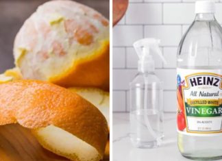 The Magic of Citrus: Transform Your Home with Orange Peels and Vinegar