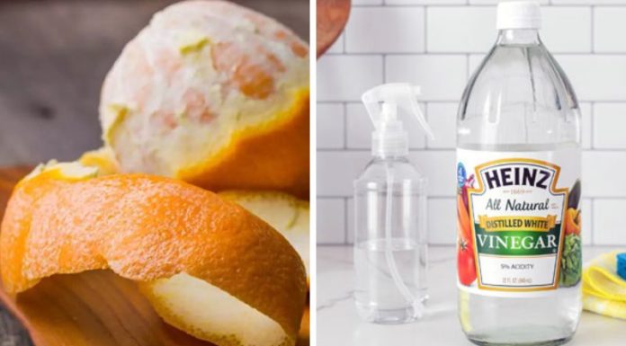 The Magic of Citrus: Transform Your Home with Orange Peels and Vinegar