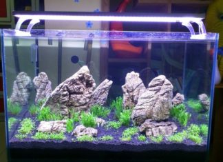 The Year-End House Clear Out: 5 Items to Keep for Continued Luck and Prosperity