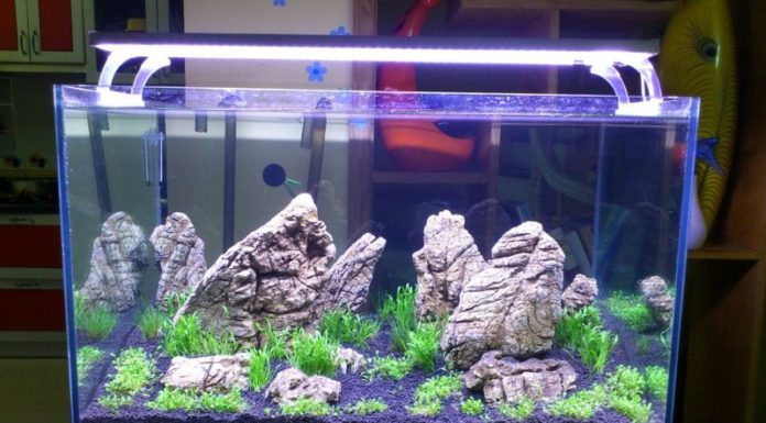 The Year-End House Clear Out: 5 Items to Keep for Continued Luck and Prosperity