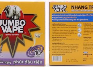 Is Burning Incense Sticks to Repel Mosquitoes Safer than Using Spray?