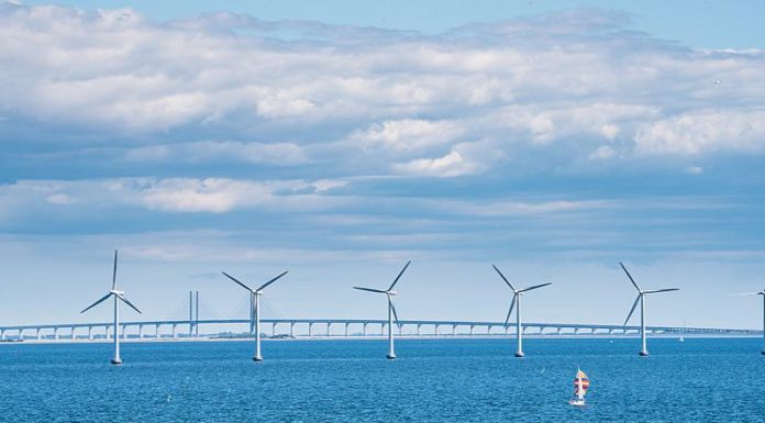 Exploring Dong Hai, Bac Lieu: Top 5 Must-Visit Attractions