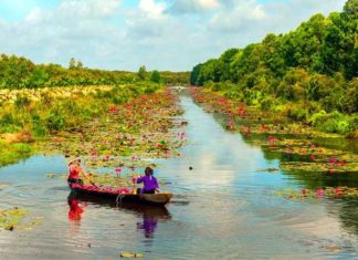 An Unforgettable Moc Hoa (Long An) Travel Experience: 3 Hottest Destinations Unveiled