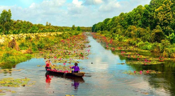 An Unforgettable Moc Hoa (Long An) Travel Experience: 3 Hottest Destinations Unveiled