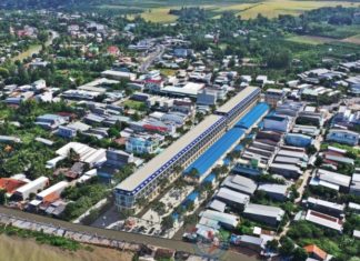 The Mystical Allure of Thanh Binh (Dong Thap): Unveiling Two Beloved Destinations