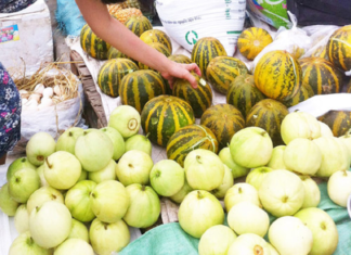 The Ultimate Guide to Pesticide-Free Produce: Unveiling the Two Unsung Heroes in Vietnam’s Markets