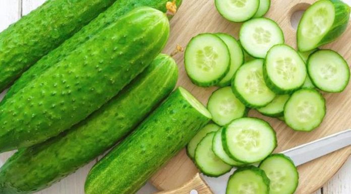 Is Cucumber High in Calories? Can Eating Cucumber Make You Fat?