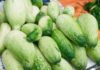 What are Cucamelons? Are They Different from Cucumbers?