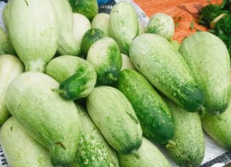 What are Cucamelons? Are They Different from Cucumbers?