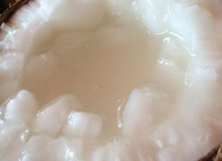 What Are the Different Types of Wax Coconut? How to Choose the Best Wax Coconut for Your Needs.