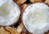 What is Wax Gourd Coconut and Why is it So Expensive? Delicious Ways to Prepare Wax Gourd Coconut.