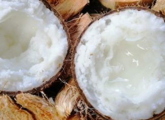 What is Wax Gourd Coconut and Why is it So Expensive? Delicious Ways to Prepare Wax Gourd Coconut.