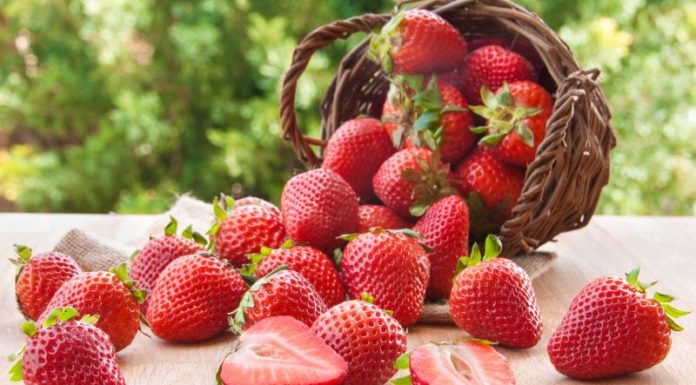 6 Types of Super-Healthy Fruits for Moms-to-Be in Their Third Trimester: An Essential Guide