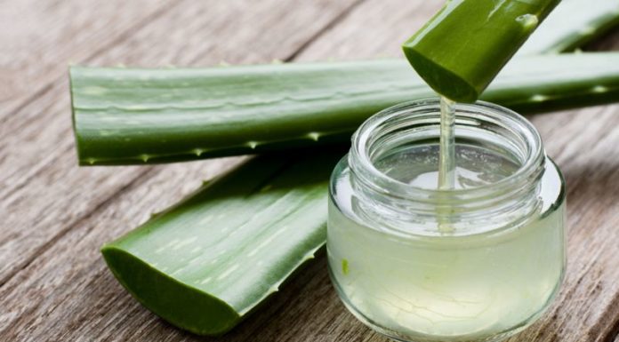 Aloe Vera Skincare for the Over 50s: Unlocking the Secrets to Youthful Radiance