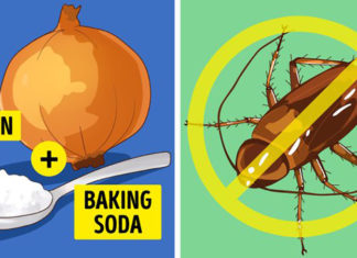 8 Surefire Tips to Keep Bugs at Bay This Summer