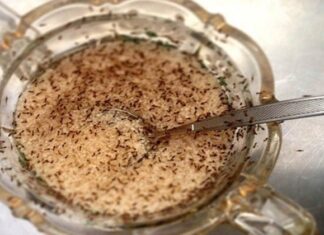“The Ultimate Guide to Getting Rid of Ants in Your Sugar Jar: A Simple and Effective Method”