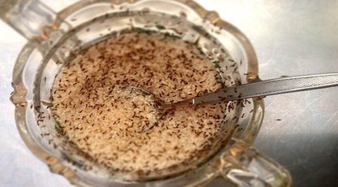 “The Ultimate Guide to Getting Rid of Ants in Your Sugar Jar: A Simple and Effective Method”