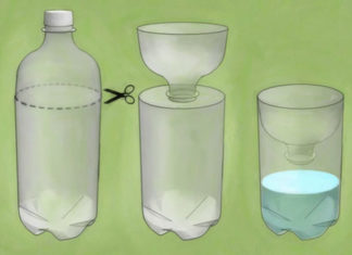 11 Surefire Tips to Get Rid of Flies in Your House