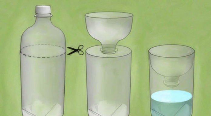 11 Surefire Tips to Get Rid of Flies in Your House