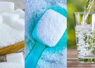 The Ultimate Guide to Using Sugar as a Pest Control Solution and Beyond