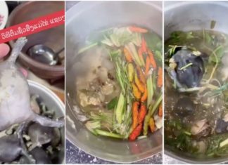 The Ultimate Delicacy: A Tale of Two Countries and Their Love for Frog Legs