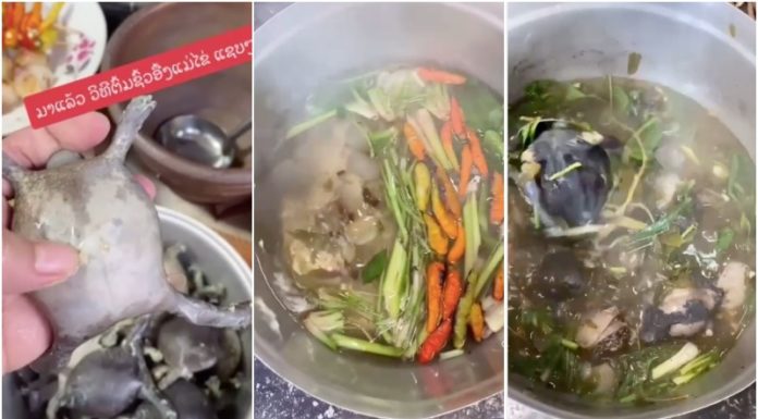 The Ultimate Delicacy: A Tale of Two Countries and Their Love for Frog Legs