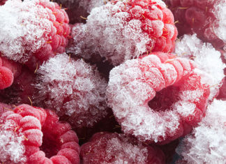 What is Freezer Burn? How to Prevent and Properly Store Frozen Food.