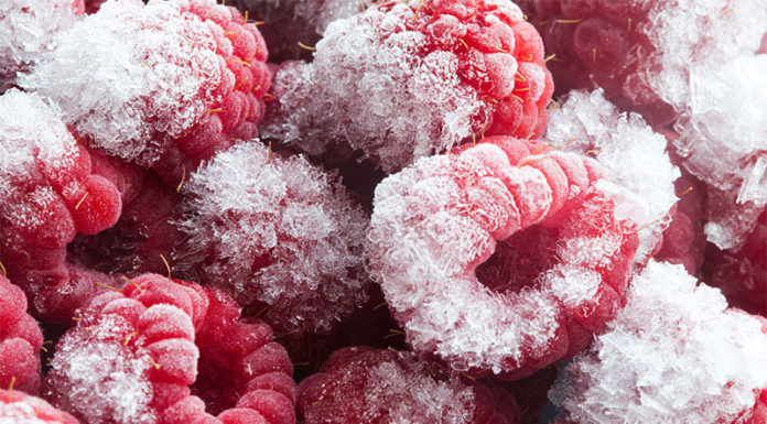 What is Freezer Burn? How to Prevent and Properly Store Frozen Food.