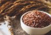 How Many Calories Are in Brown Rice? Is It Healthy to Eat a Lot of Brown Rice?