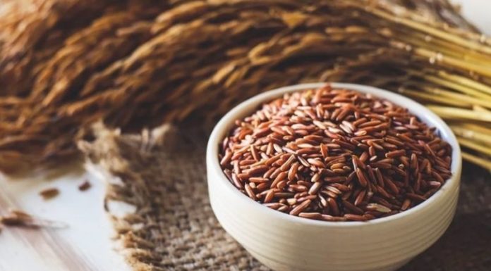 How Many Calories Are in Brown Rice? Is It Healthy to Eat a Lot of Brown Rice?