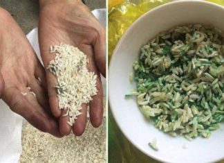 Can You Eat Moldy Rice?