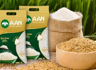 “What is ST21, ST24, and ST25 Rice? Which Variety Tastes Better?”