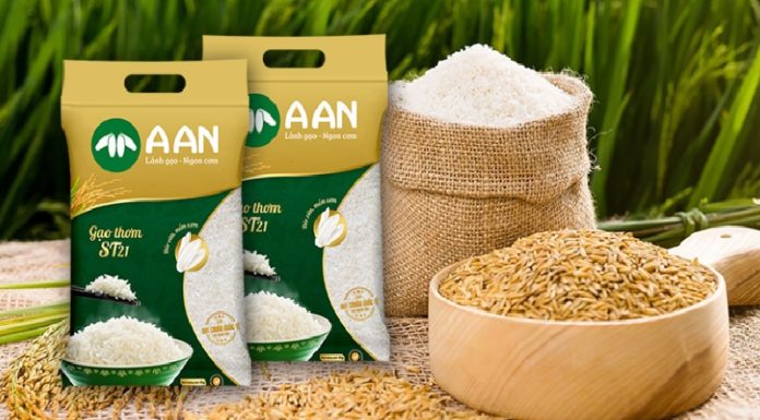 “What is ST21, ST24, and ST25 Rice? Which Variety Tastes Better?”