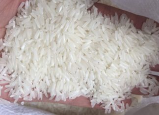 What is ST24 Rice? Exploring the ST24 Rice Varieties at Bach Hoa XANH.