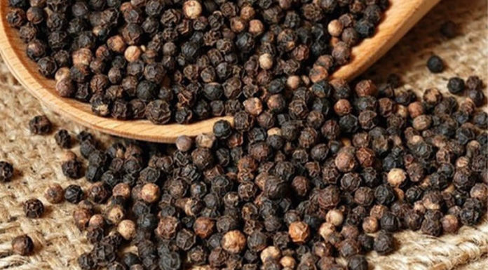 Today’s Black Pepper Prices, August 20, 2021: Prices Rise to 76,500 – 79,500 VND per kg