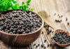Today’s Peppercorn Price Dip: A Steep and Continuous Fall to a New Low of 73,000 VND/kg