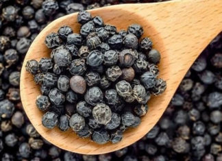 Today’s Black Pepper Prices 08/04/2021: A Slight Uptick, Trading at 72,000 – 75,000 VND per kg